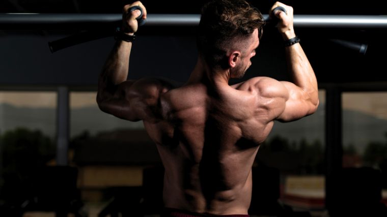 A Biceps Workouts Without Weights: Is It Possible? 