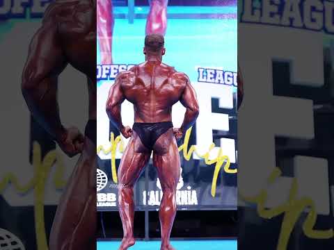 Wesley Vissers Dominates the Europa Pro