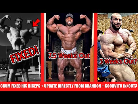 CBum Fixed His Biceps + FINALLY and Update Directly From Brandon + Is Good Vito Competing or Nah?