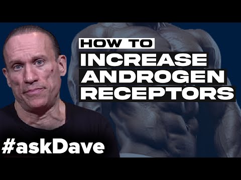 BOOSTING ANDROGEN RECEPTORS! #askDave