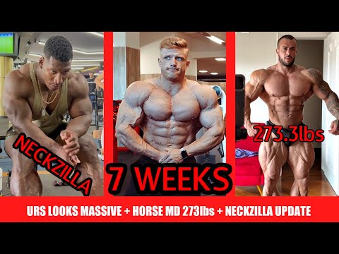 Urs Looks Massive Next to Nathan + Horse MD 273lbs 7 Weeks Out + Neckzilla Physique Update + MORE