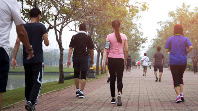 A group of people on a morning walk in the park.