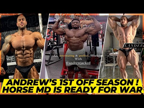 Andrew Jacked’s 1st proper off season in 3 years+Horse Md is ready for Arnold Classic 2024 +Goodvito