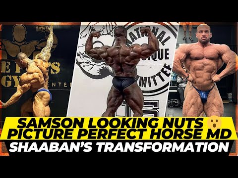 Samson Dauda looking nuts 5 days out of 2024 Arnold Classic + Picture perfect Horse Md + Shaaban