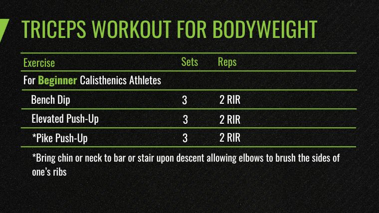triceps-workout-for-bodyweight-beginner.jpg